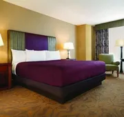 Circus Circus Hotel, Casino & Theme Park hotel detail image 4