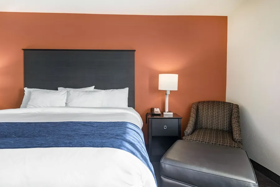 Comfort Inn Wings Stadium hotel detail image 6