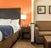 Comfort Inn Wings Stadium hotel detail image 7