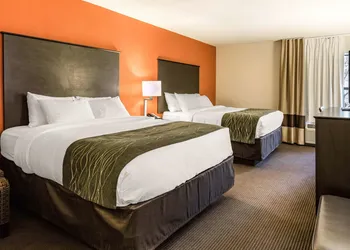 Comfort Inn Wings Stadium hotel thumbnail 8