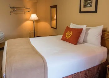 Wild Bear Inn hotel thumbnail 5