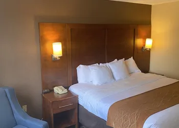 Comfort Inn Springfield hotel thumbnail 3
