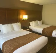 Comfort Inn Springfield hotel detail image 4