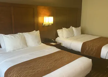 Comfort Inn Springfield hotel thumbnail 4