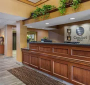 Comfort Inn Okemos - East Lansing hotel detail image 4