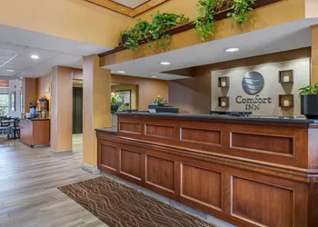 Comfort Inn Okemos - East Lansing hotel thumbnail 4