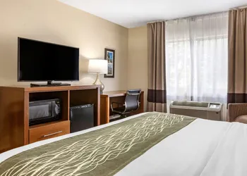 Comfort Inn Okemos - East Lansing hotel thumbnail 6
