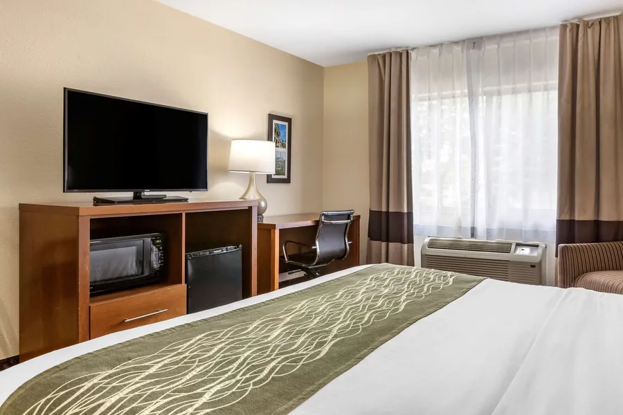 Comfort Inn Okemos - East Lansing hotel detail image 6