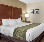 Comfort Inn Okemos - East Lansing hotel detail image 7
