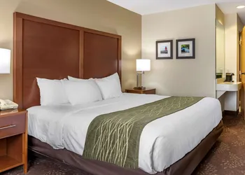 Comfort Inn Okemos - East Lansing hotel thumbnail 7