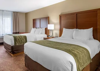 Comfort Inn Okemos - East Lansing hotel thumbnail 8