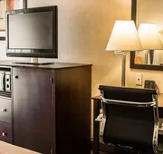 Comfort Inn Lansing West hotel detail image 7