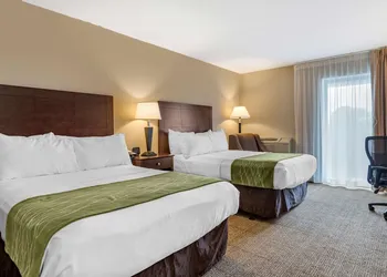Comfort Inn Lansing West hotel thumbnail 8