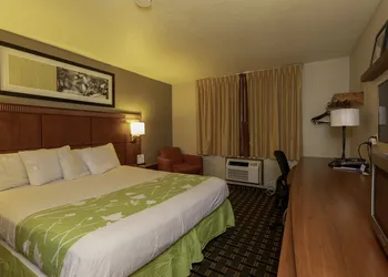 Rodeway Inn Florence - Cincinnati South hotel thumbnail 8