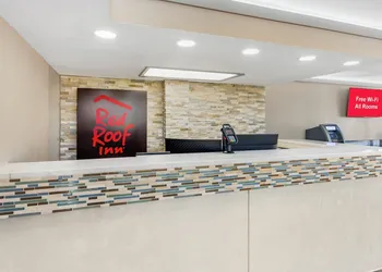 Red Roof Inn Kissimmee hotel thumbnail 5