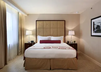 Millennium Hotel Knickerbocker Chicago hotel thumbnail 4