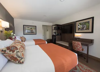 The Vine Inn Davis hotel thumbnail 4