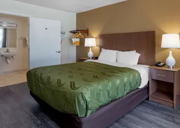 Quality Inn Saint Petersburg North-Tampa Bay hotel thumbnail 6