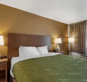 Quality Inn Saint Petersburg North-Tampa Bay hotel detail image 7