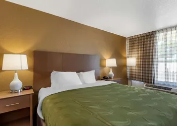 Quality Inn Saint Petersburg North-Tampa Bay hotel thumbnail 7