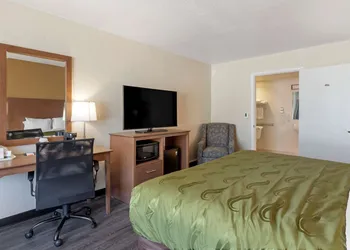 Quality Inn Saint Petersburg North-Tampa Bay hotel thumbnail 8