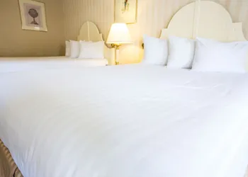 Anaheim Carriage Inn hotel thumbnail 6