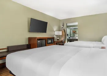 Quality Inn & Suites near Panama City Beach hotel thumbnail 3