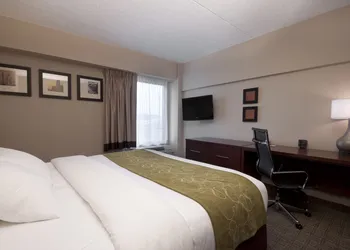Comfort Suites at Woodbridge hotel thumbnail 7