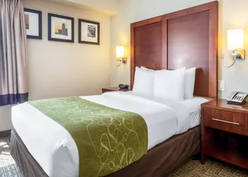 Comfort Suites at Woodbridge hotel thumbnail 8