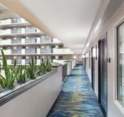 Embassy Suites by Hilton Orlando Airport hotel detail image 3