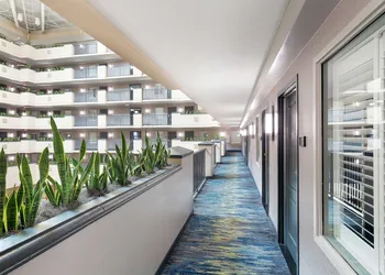 Embassy Suites by Hilton Orlando Airport hotel thumbnail 3