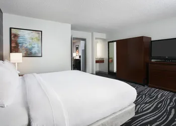 Embassy Suites by Hilton Orlando Airport hotel thumbnail 8