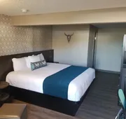 The Hotel Y a Dazzler Select by Wyndham hotel detail image 3