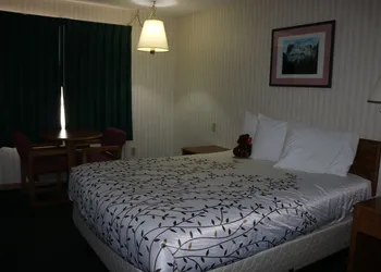 Roosevelt Inn Mount Rushmore hotel thumbnail 3