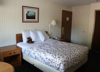 Roosevelt Inn Mount Rushmore hotel thumbnail 4