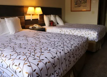 Roosevelt Inn Mount Rushmore hotel thumbnail 7