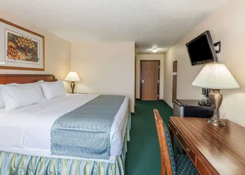 Super 8 by Wyndham Irving DFW Airport/South hotel thumbnail 6