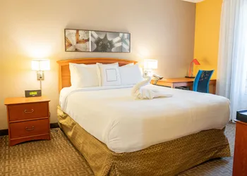 TownePlace Suites by Marriott Dallas Las Colinas hotel thumbnail 7