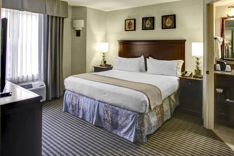 Holiday Inn Express & Suites Atlanta Buckhead by IHG hotel detail image 2