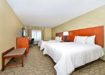 Hampton Inn Detroit/Auburn Hills South hotel thumbnail 6