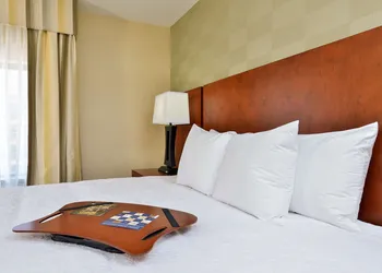 Hampton Inn Detroit/Auburn Hills South hotel thumbnail 8