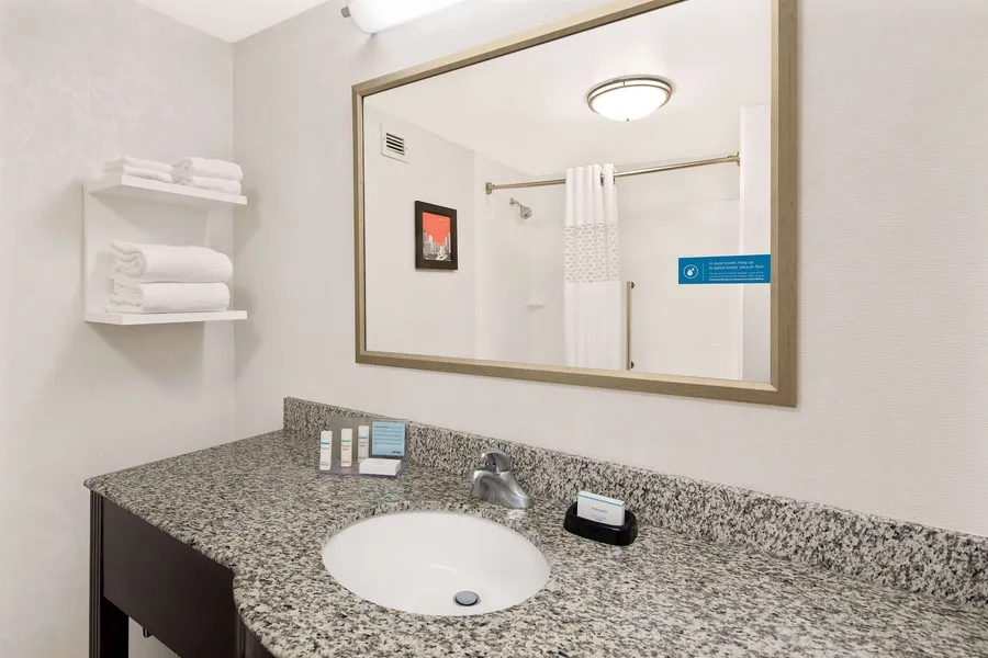 Hampton Inn Atlanta-Georgia Tech-Downtown hotel detail image 6