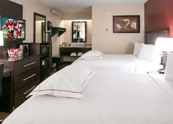Red Roof Inn PLUS+ Washington DC - Alexandria hotel thumbnail 3