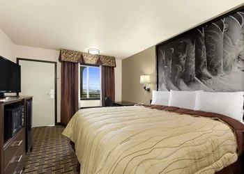 Super 8 by Wyndham Fort Worth TX hotel thumbnail 6