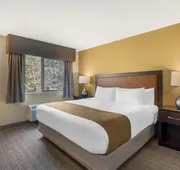 Best Western Plus Plaza by the Green hotel detail image 4