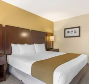 Best Western Plus Plaza by the Green hotel detail image 7