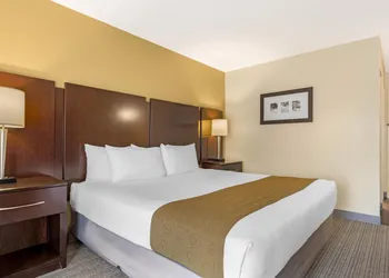 Best Western Plus Plaza by the Green hotel thumbnail 7