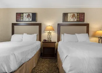 Quality Inn & Conference Centre hotel thumbnail 7