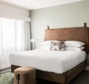Hotel Indigo St Louis - Central West End by IHG hotel detail image 5