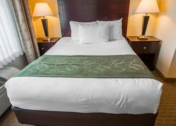 Comfort Suites University Area Notre Dame - South Bend hotel thumbnail 7